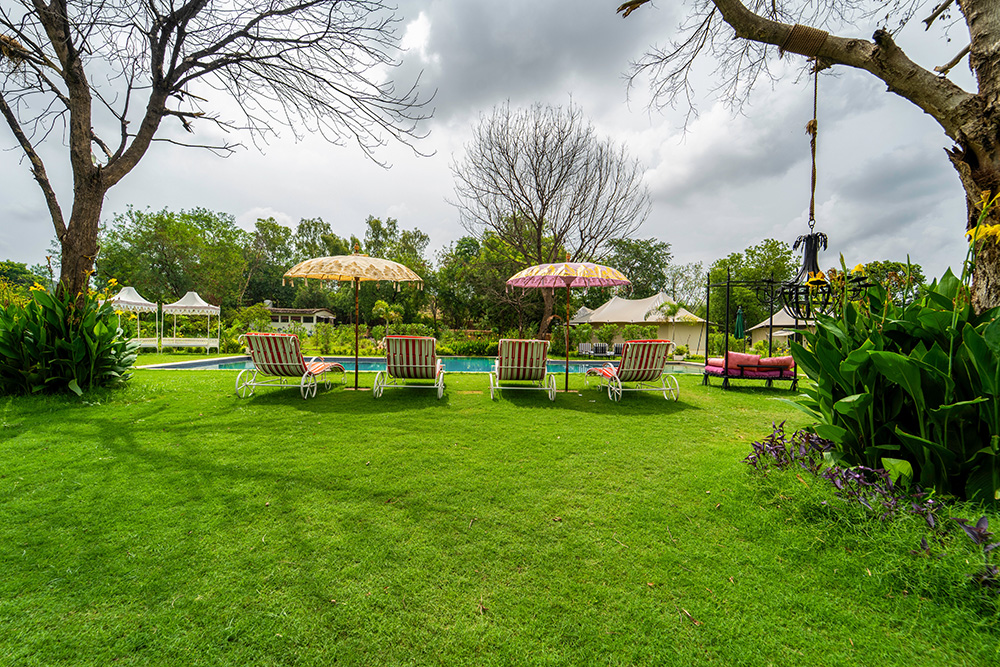 Ranthambore Tiger safari | Tent stay in Ranthambore | Luxury tents in Ranthambore | Ranthambore Night safari