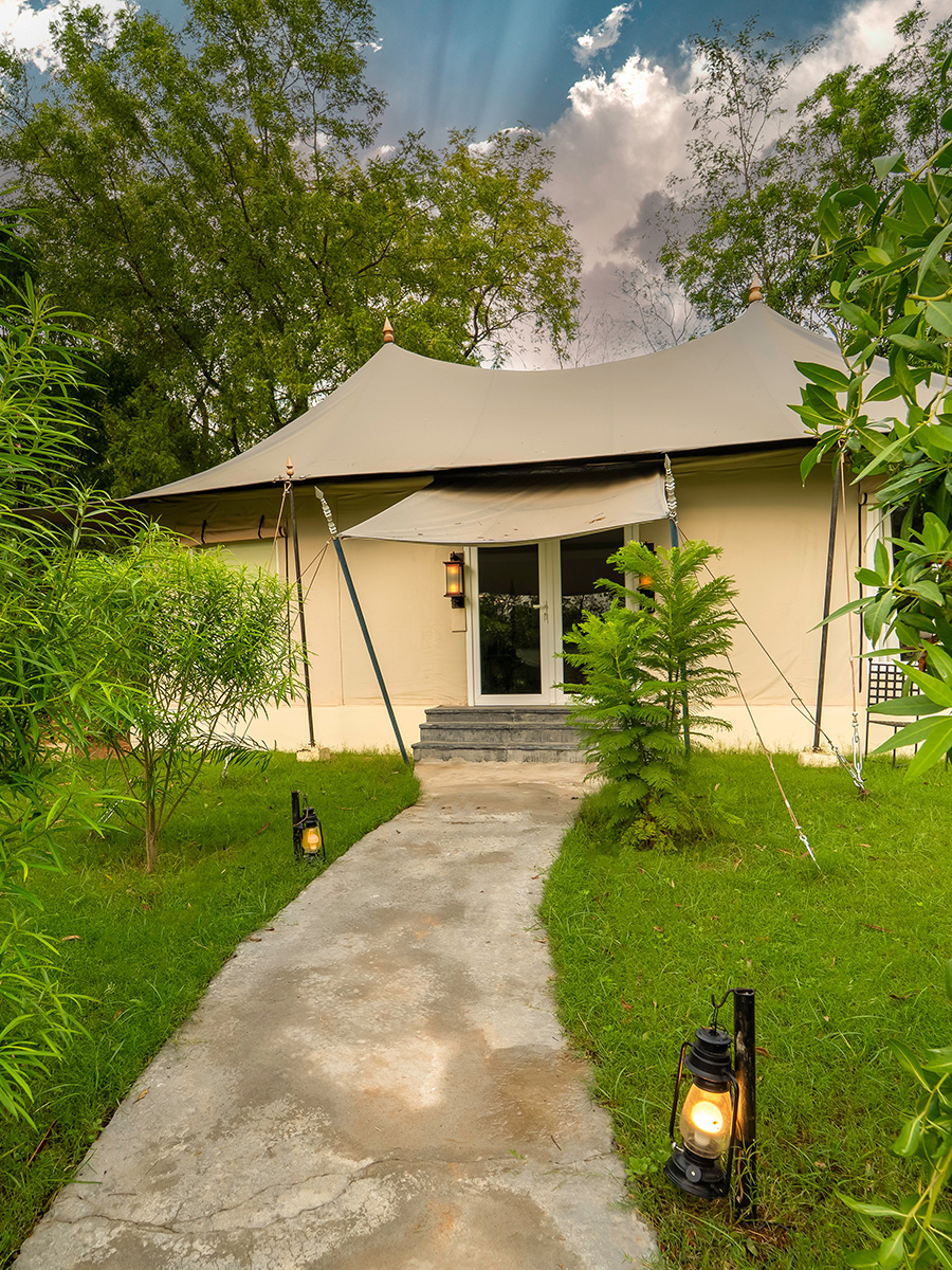 Best, Top Luxury Jungle Resorts in Ranthambore Rajasthan